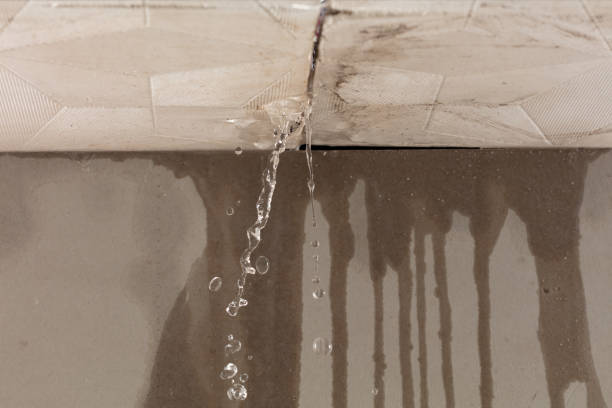 Professional Water Damage Repair technician working in Lake in the Hills, IL